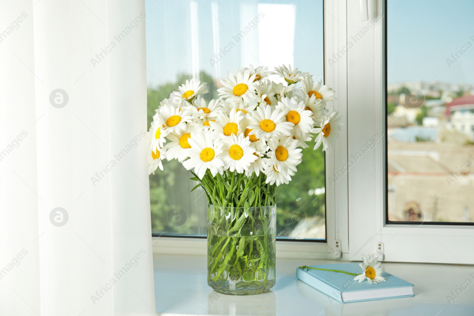 Photo of Vase with beautiful chamomile flowers on windowsill