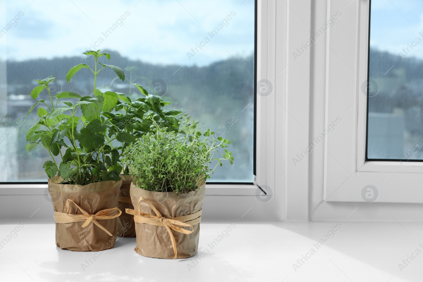 Photo of Different fresh potted herbs on windowsill indoors. Space for text