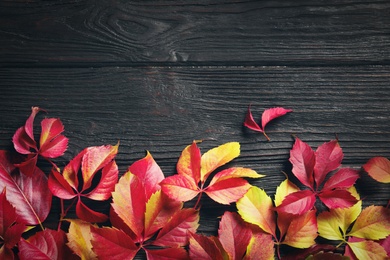 Photo of Flat lay composition with autumn leaves and space for text on wooden background