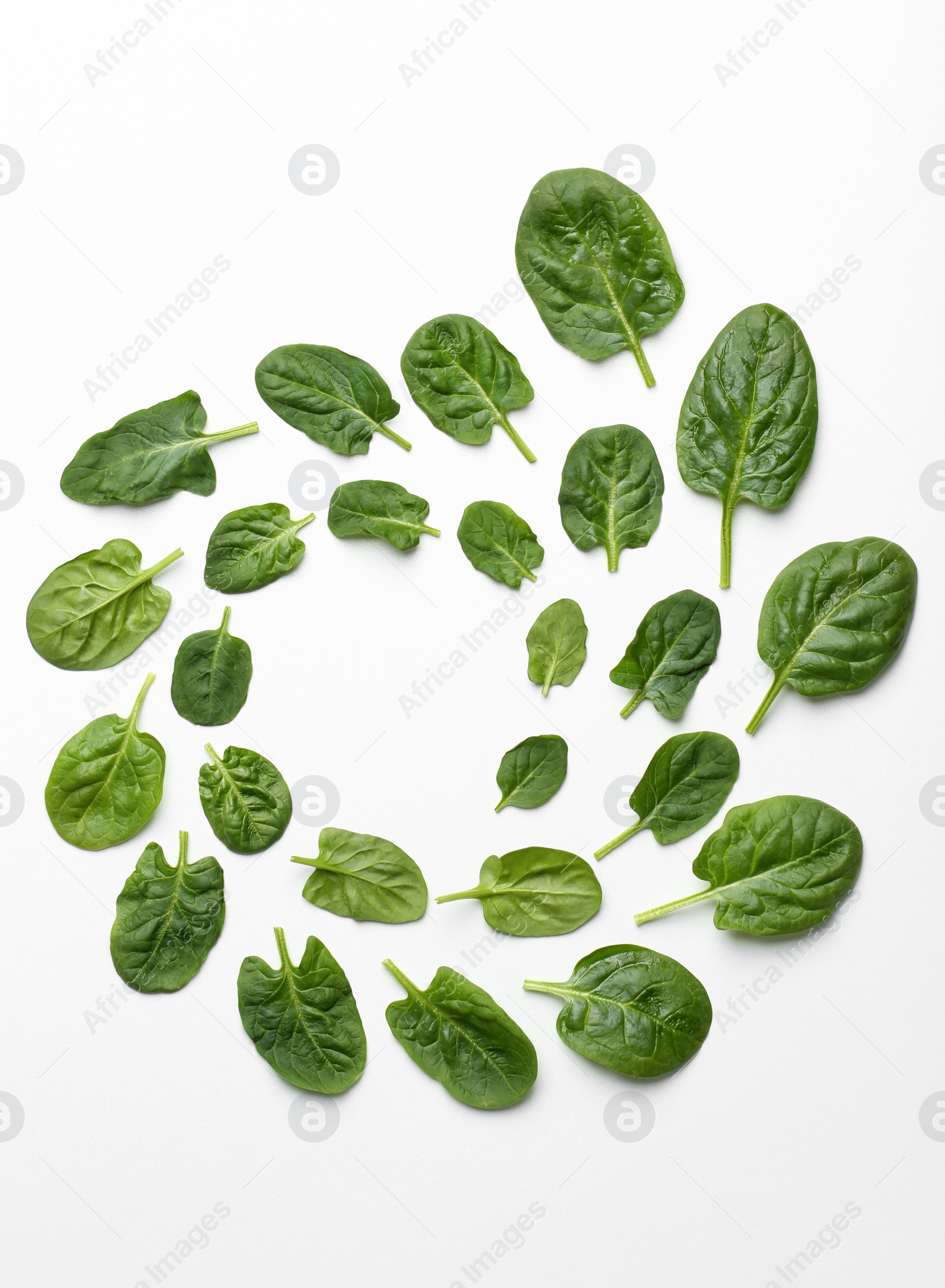 Photo of Frame made of spinach leaves on white background, top view. Space for text