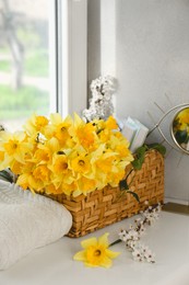 Photo of Beautiful yellow daffodils, plum tree branches and wicker basket on windowsill. Space for text