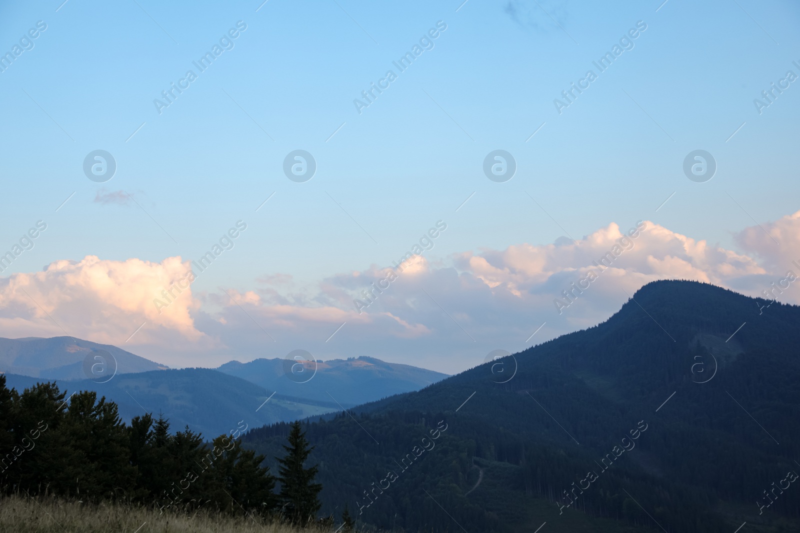 Photo of Beautiful view of mountain landscape with forest in morning