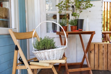 White basket with seedlings and gardening tools on wooden chair near house