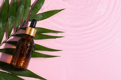 Bottle of cosmetic oil and tropical leaf in water on pink background, flat lay. Space for text