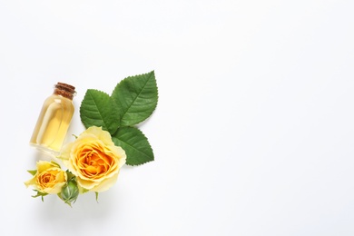 Photo of Bottle of rose essential oil and flowers on white background, top view