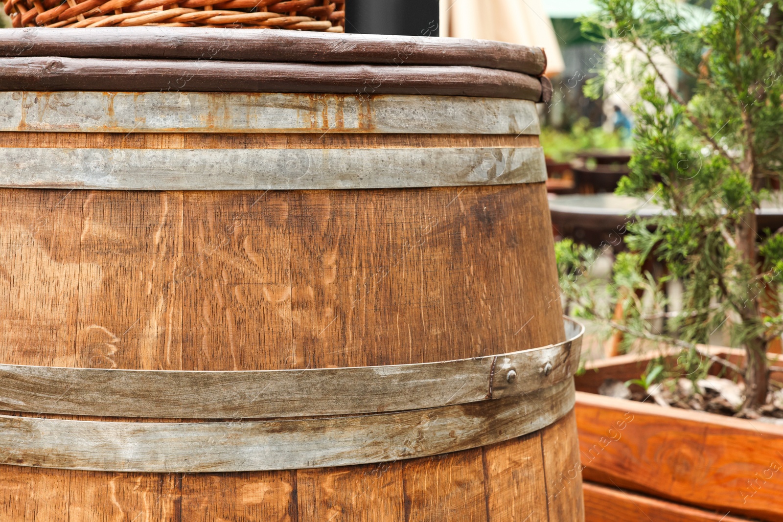 Photo of Traditional wooden barrel outdoors, closeup. Wine making