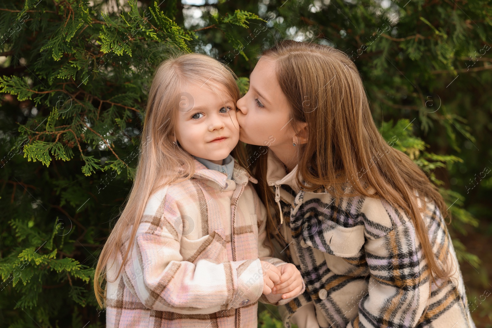 Photo of Cute little sisters spending time together outdoors