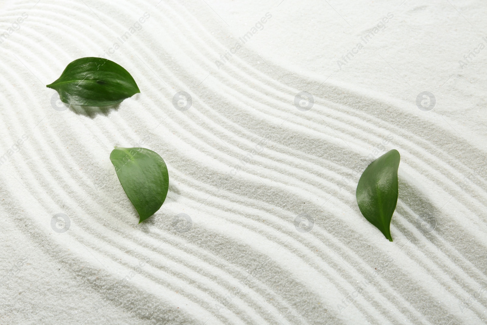 Photo of Zen rock garden. Wave pattern and green leaves on white sand