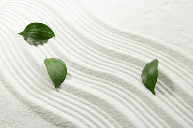 Zen rock garden. Wave pattern and green leaves on white sand