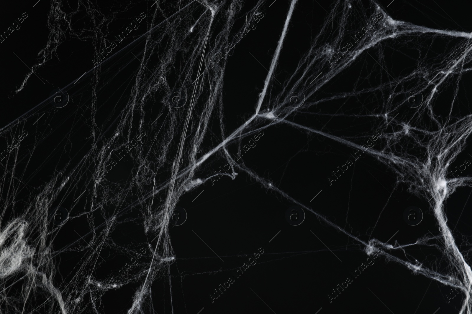 Photo of Creepy white cobweb on black background, closeup