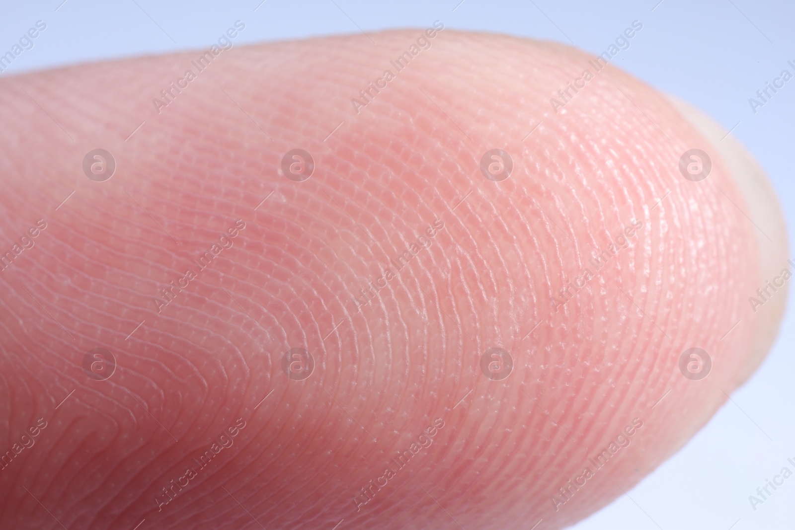 Photo of Finger with friction ridges on light blue background, macro view