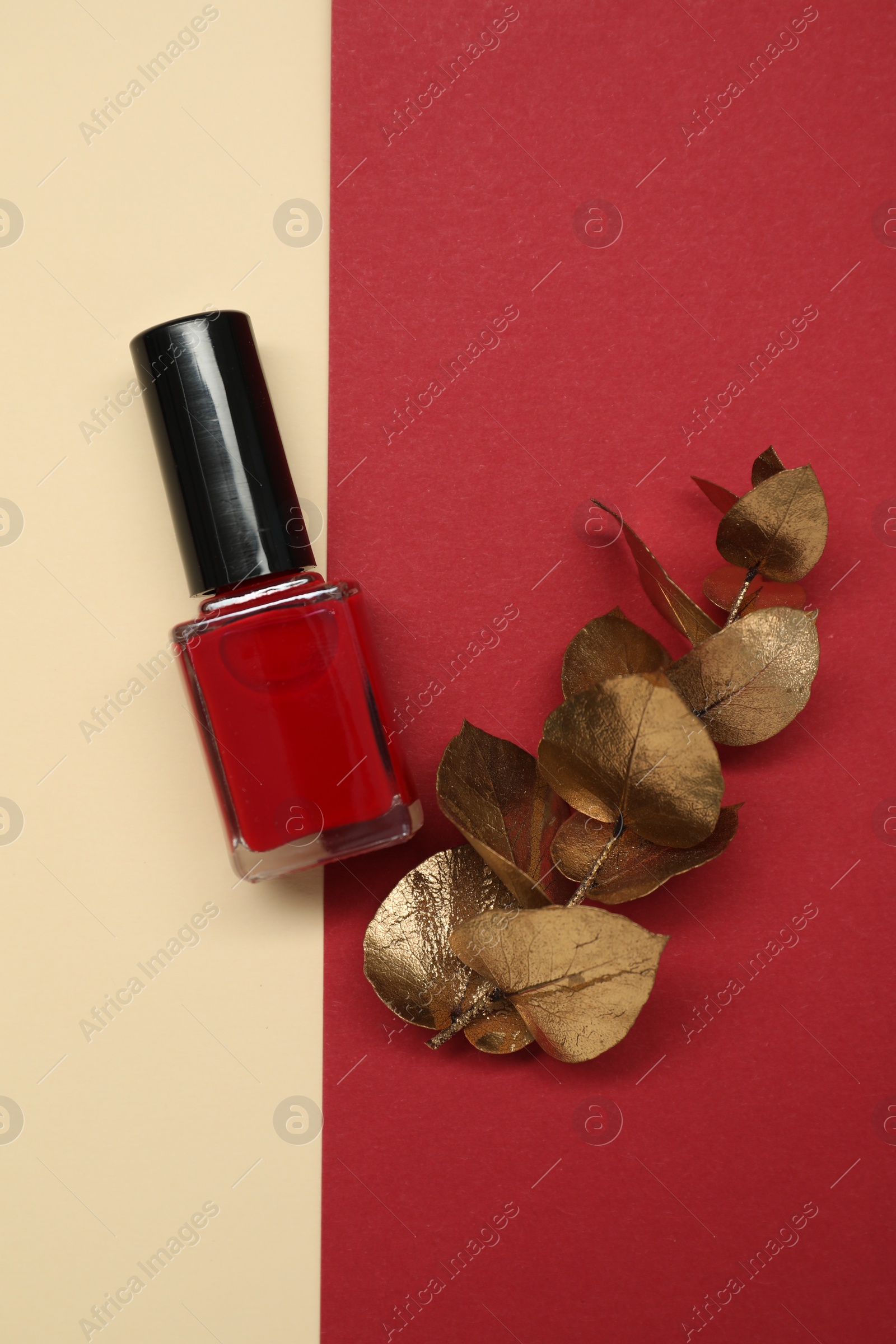 Photo of Nail polish and golden branch on color background, top view