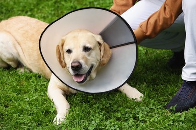 Man with adorable Labrador Retriever dog in Elizabethan collar on green grass outdoors, closeup