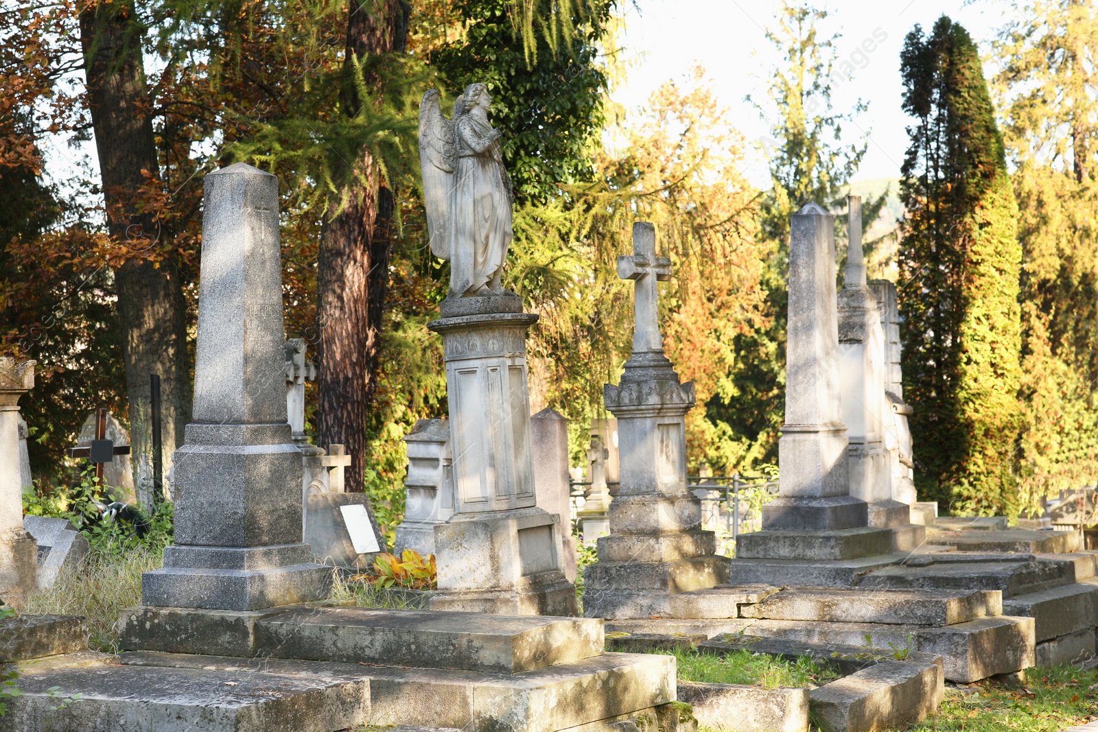 Photo of Statue of angel and tombstones at cemetery