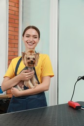 Photo of Professional groomer with cute dog in pet beauty salon