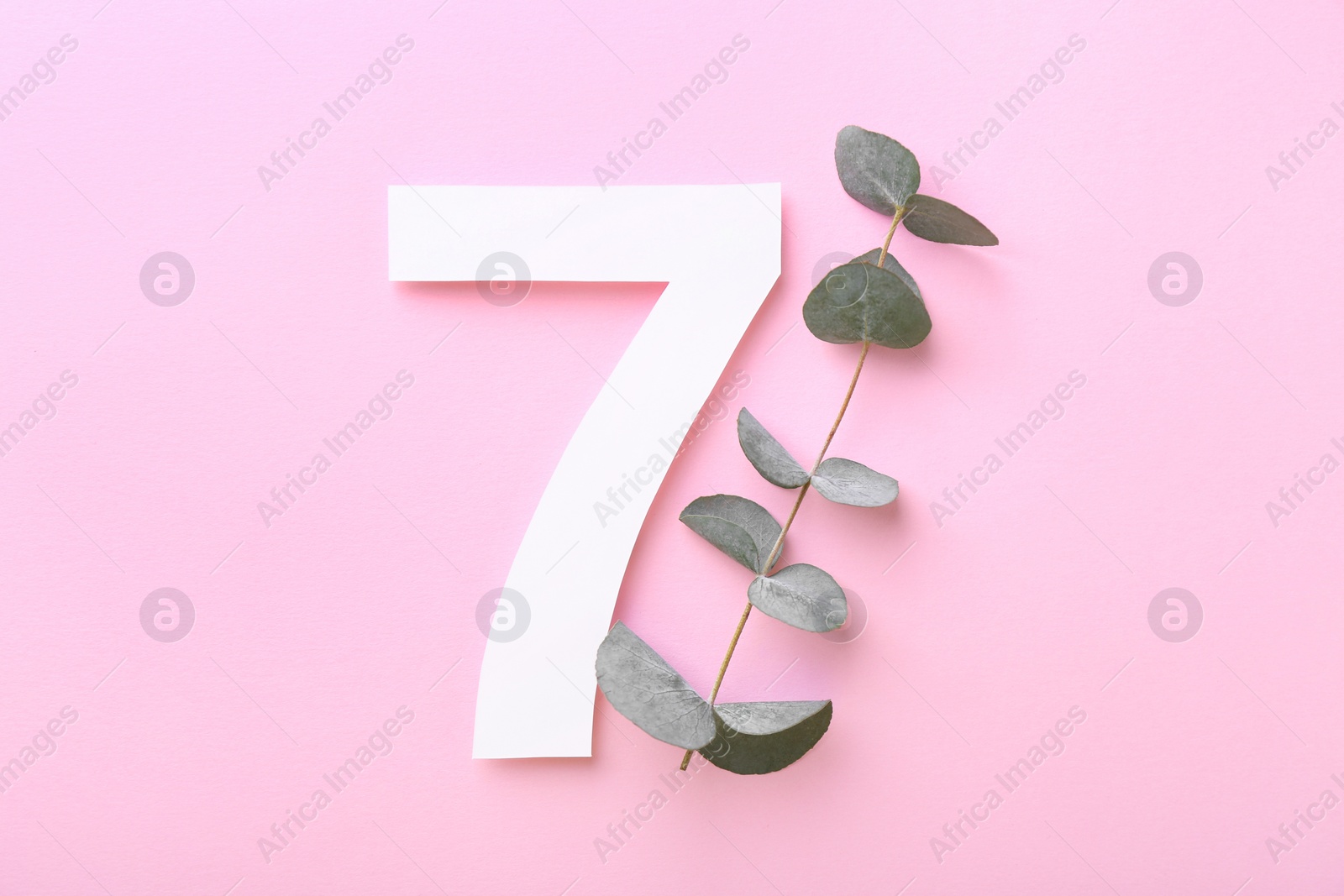 Photo of Paper number 7 and eucalyptus branch on pink background, flat lay