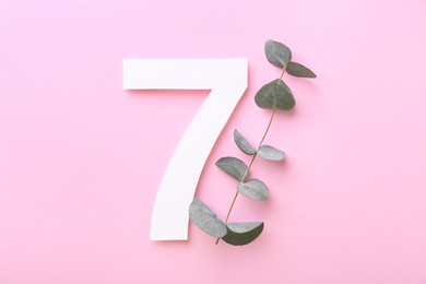 Paper number 7 and eucalyptus branch on pink background, flat lay