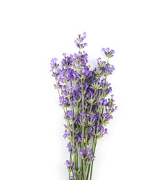 Photo of Beautiful tender lavender flowers on white background, top view