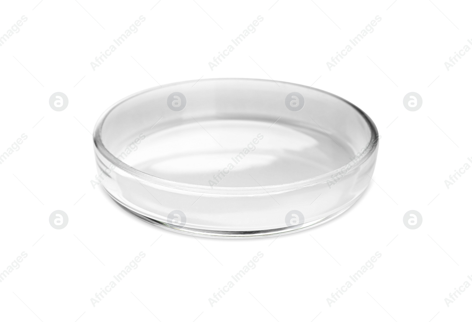 Photo of Empty glass Petri dish isolated on white