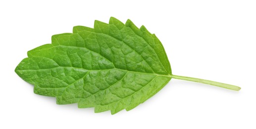 Photo of Fresh lemon balm leaf isolated on white, top view