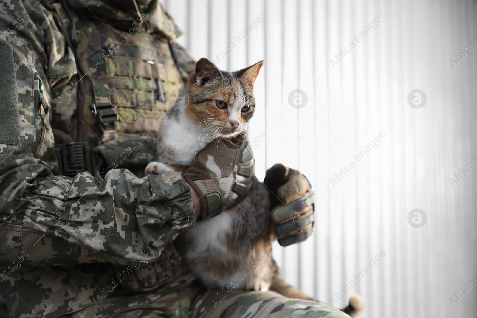 Photo of Ukrainian soldier with stray cat against light background, closeup. Space for text