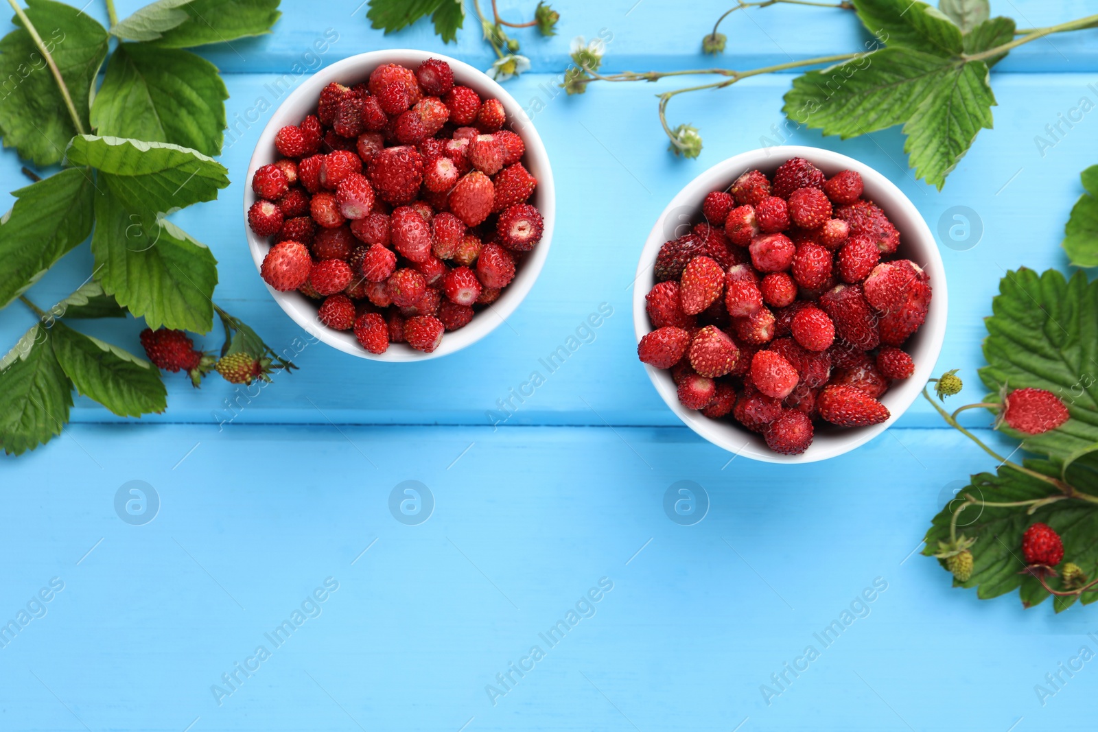 Photo of Fresh wild strawberries in bowls, flowers and leaves on light blue wooden table, flat lay. Space for text