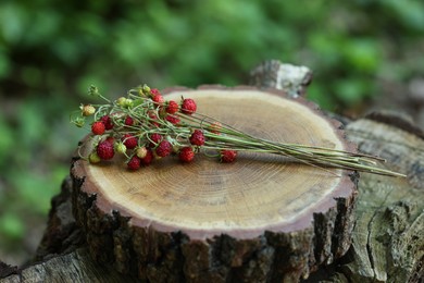 Bunch with tasty wild strawberries on wooden stump outdoors