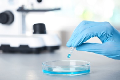 Analyst dripping reagent into petri dish with sample at laboratory. Chemical analysis