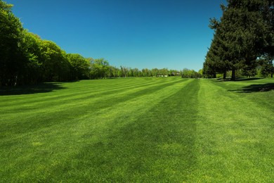 Beautiful view of landscape with fresh green grass and trees outdoors