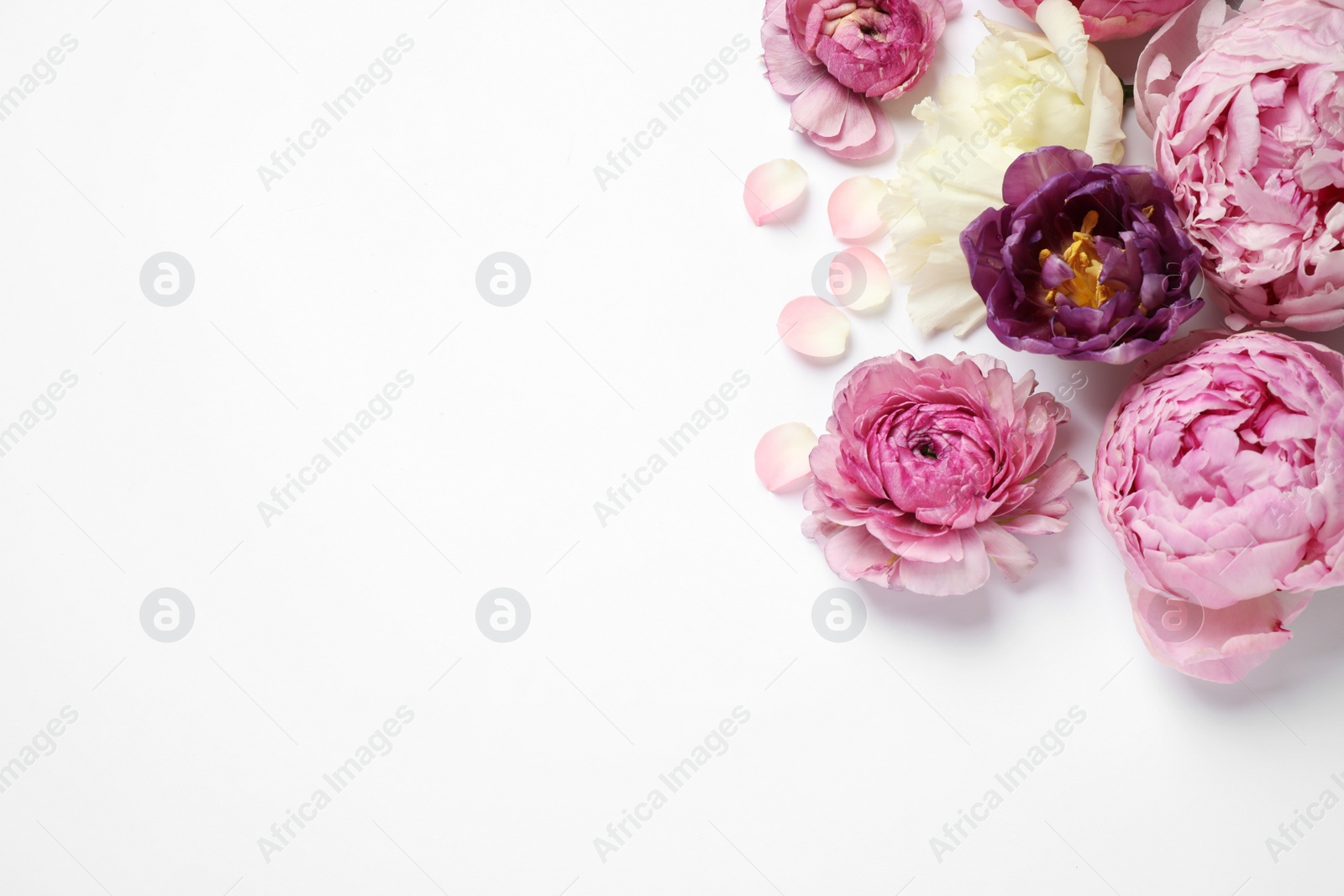 Photo of Composition with beautiful flowers on white background, top view. Floral card design