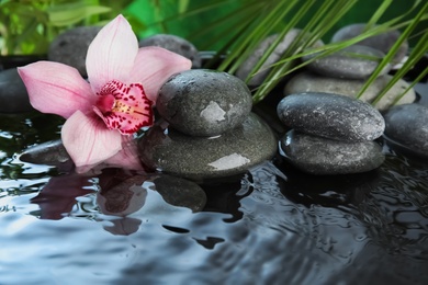 Zen stones and beautiful exotic flower in water