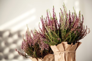 Photo of Beautiful heather flowers in pots against blurred background, closeup
