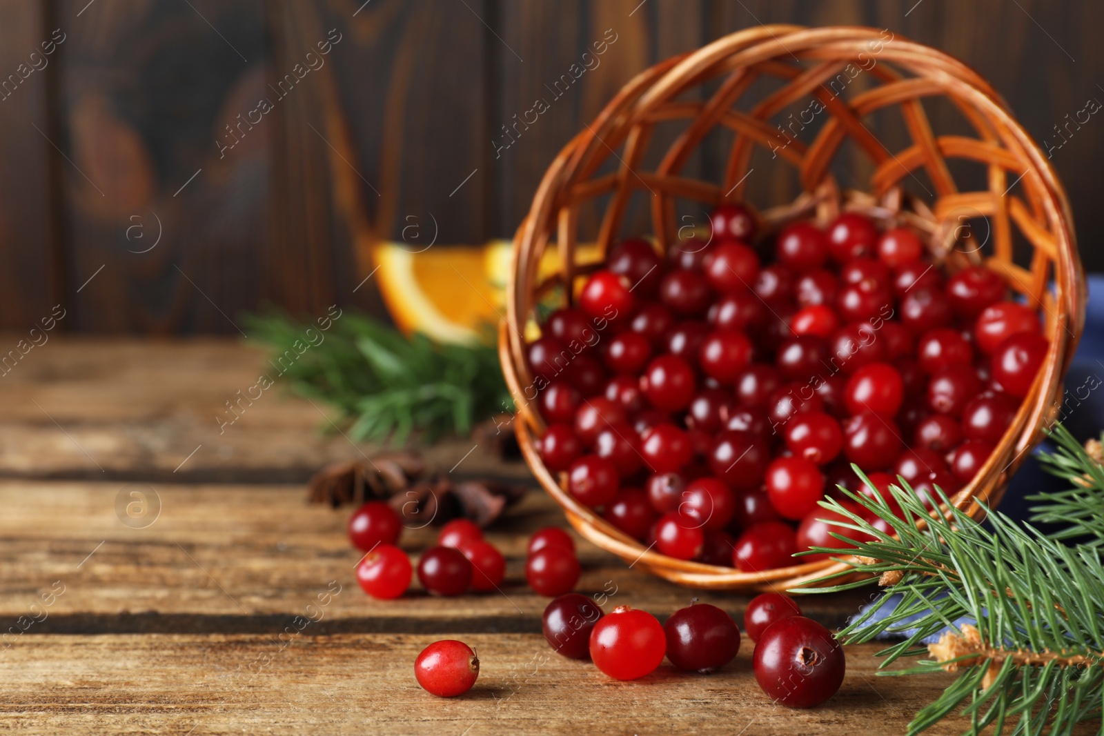 Photo of Overturned basket with fresh ripe cranberries on wooden table. Space for text