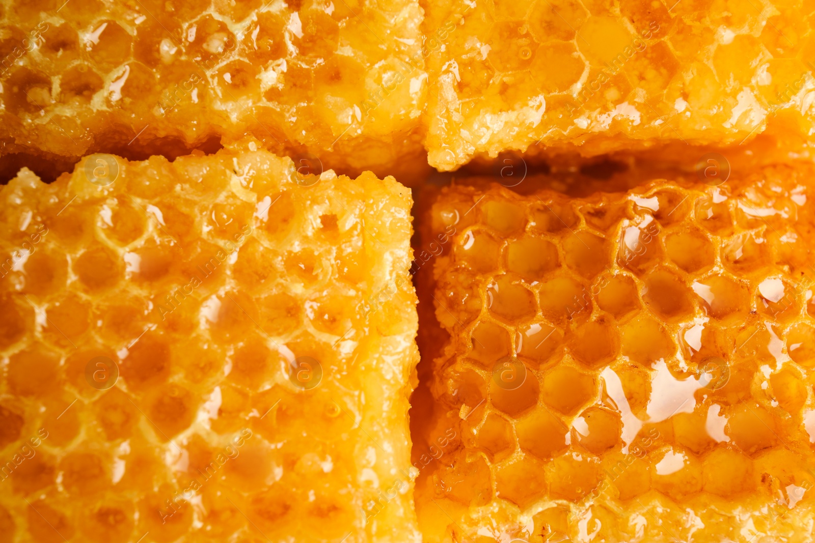 Photo of Delicious sweet honeycombs as background, closeup view