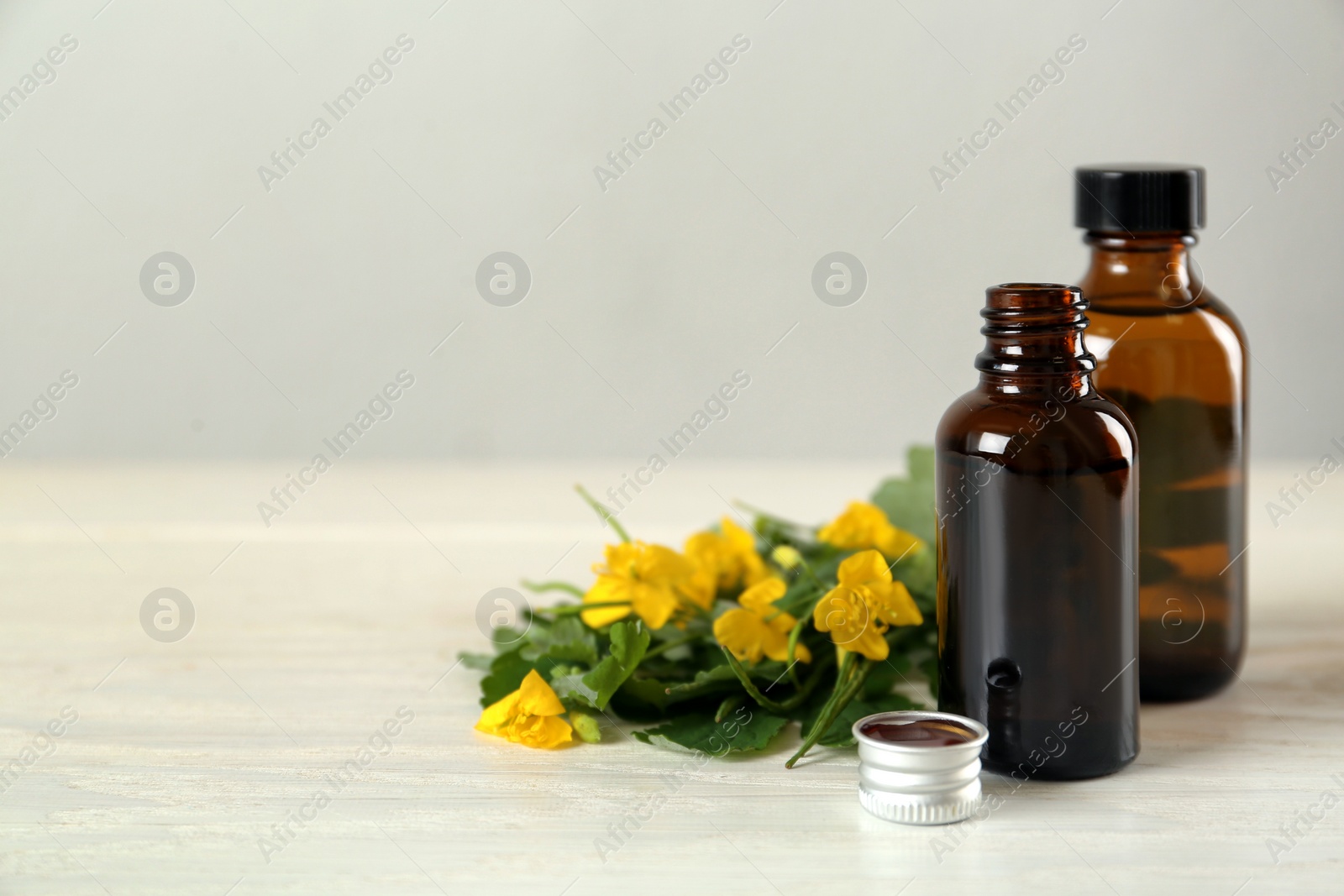 Photo of Bottles of celandine tincture and plant on white wooden table, space for text