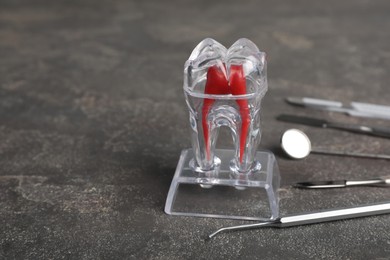 Photo of Tooth model and dental tools on grey table, space for text