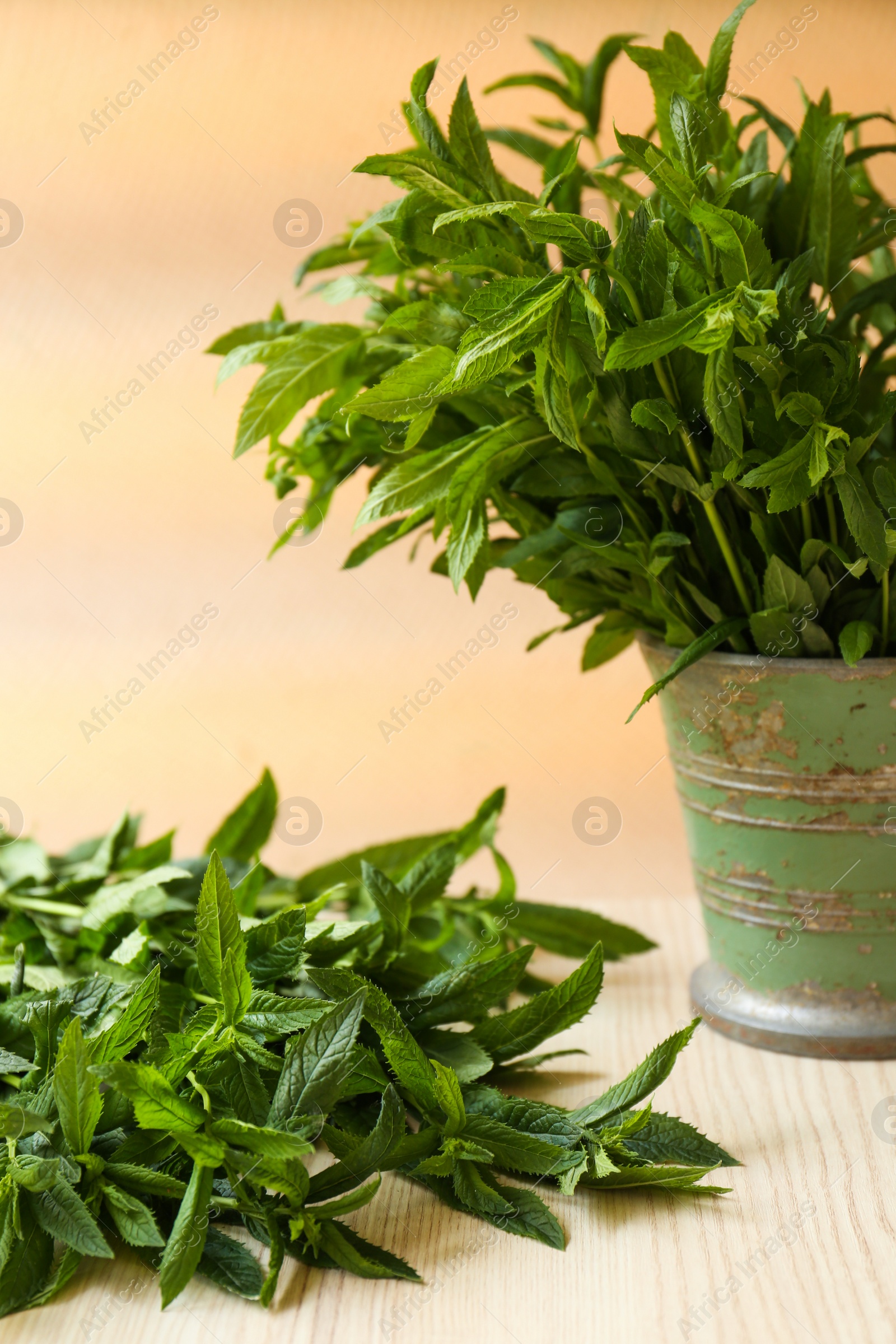 Photo of Beautiful green mint on white wooden table