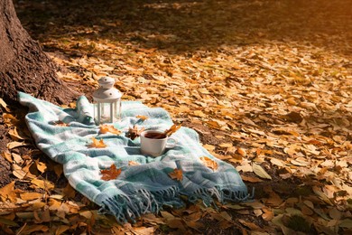 Photo of Plaid with cup of tea, cinnamon and lantern near tree in park on sunny autumn day. Space for text