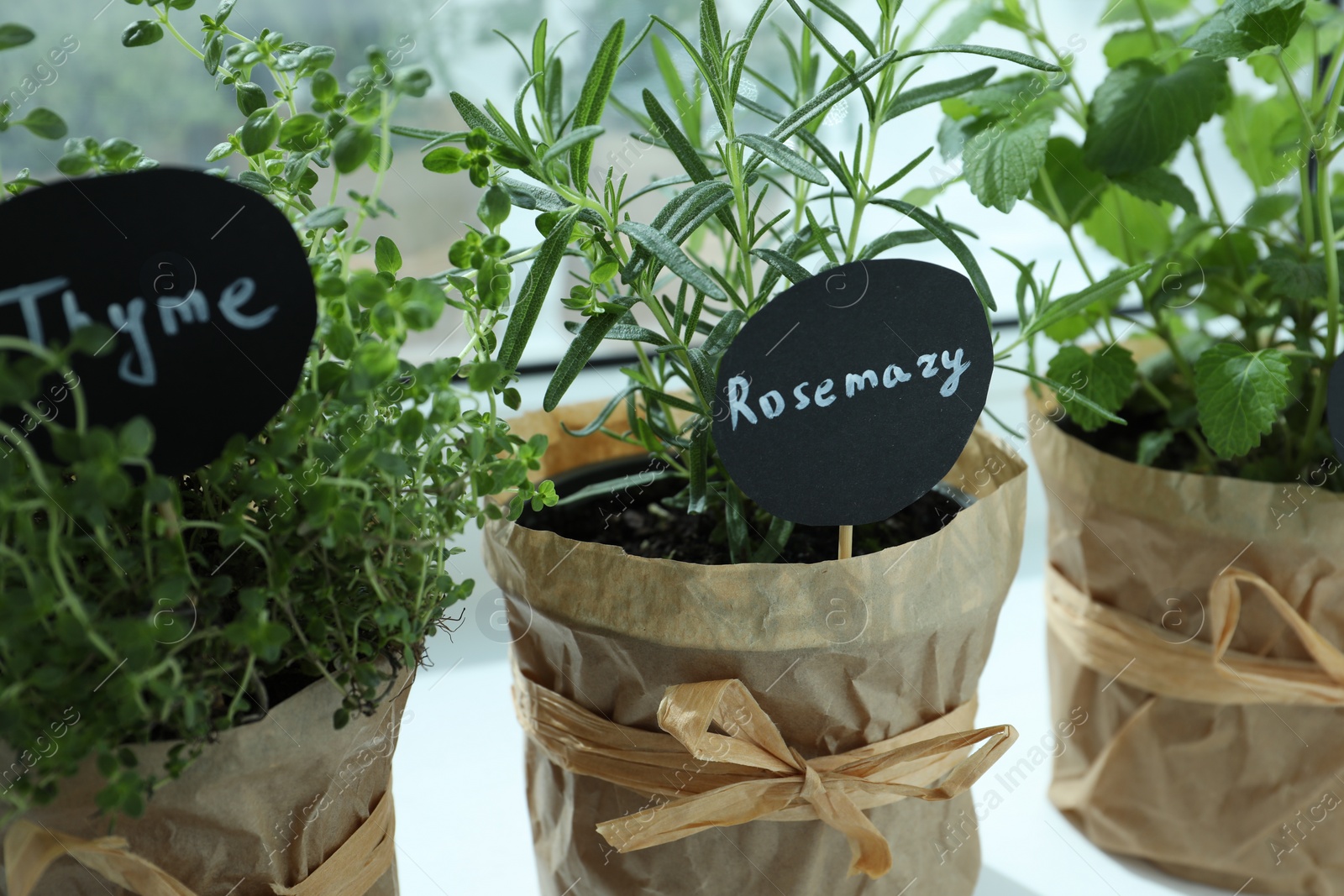 Photo of Different fresh potted herbs on windowsill indoors, closeup