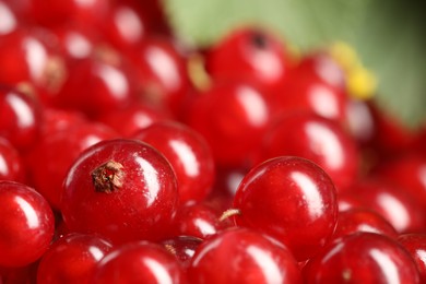 Photo of Ripe red currants on blurred background, closeup