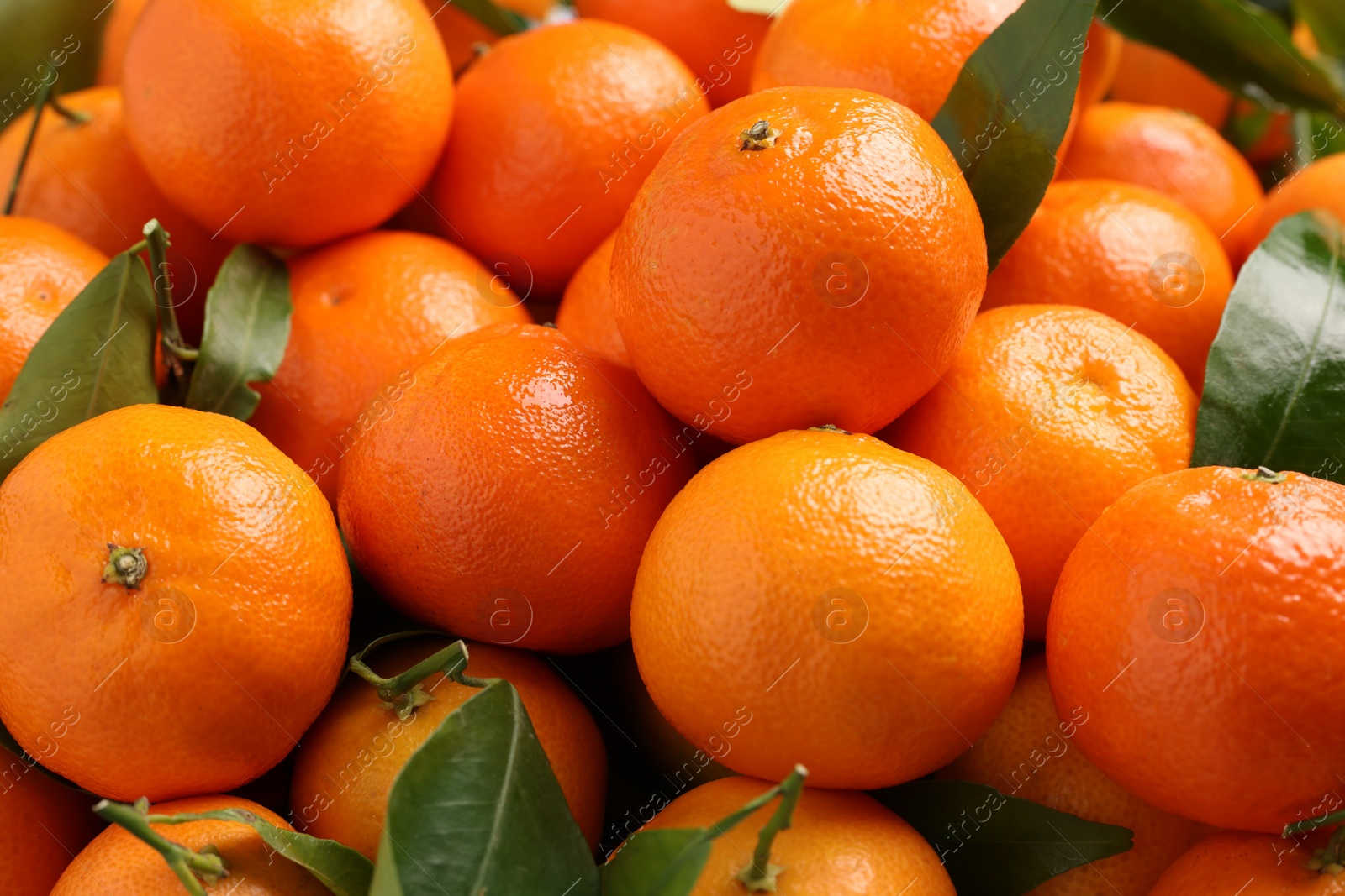 Photo of Delicious tangerines with leaves as background, closeup