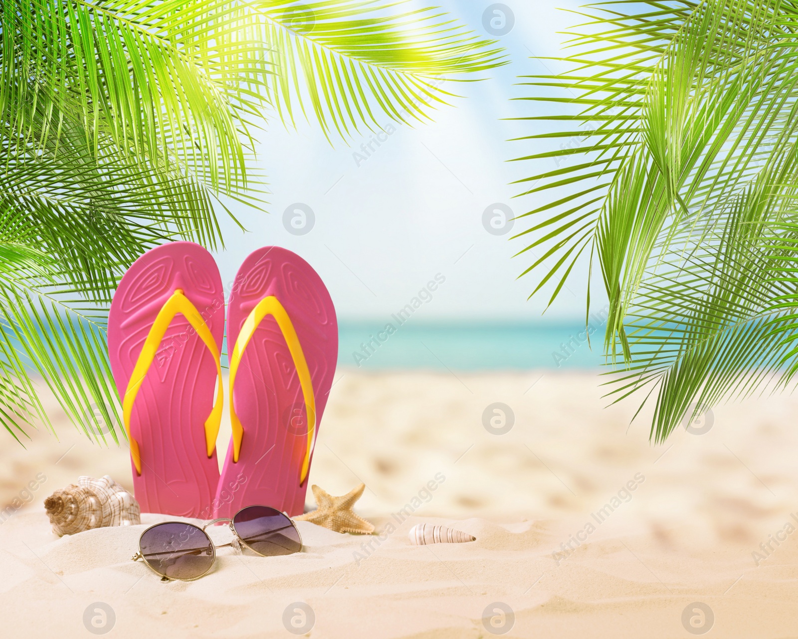 Image of Pink flip flops, starfish, sea shell and sunglasses on sandy beach near sea 