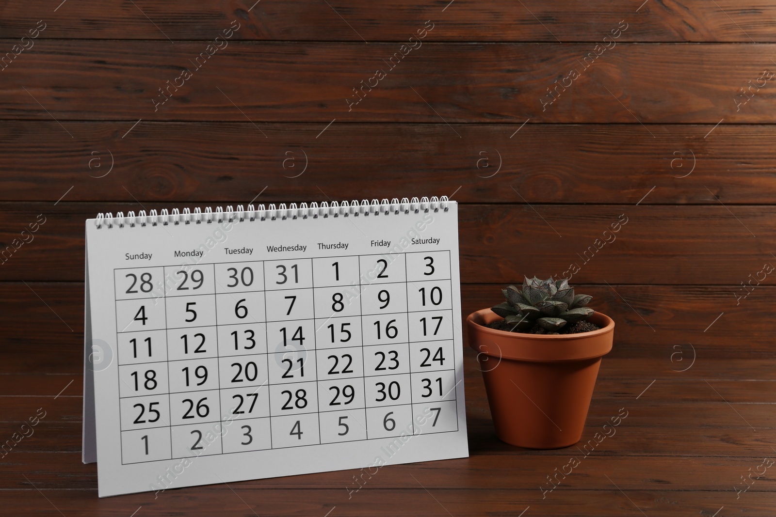 Photo of Paper calendar and succulent on wooden table