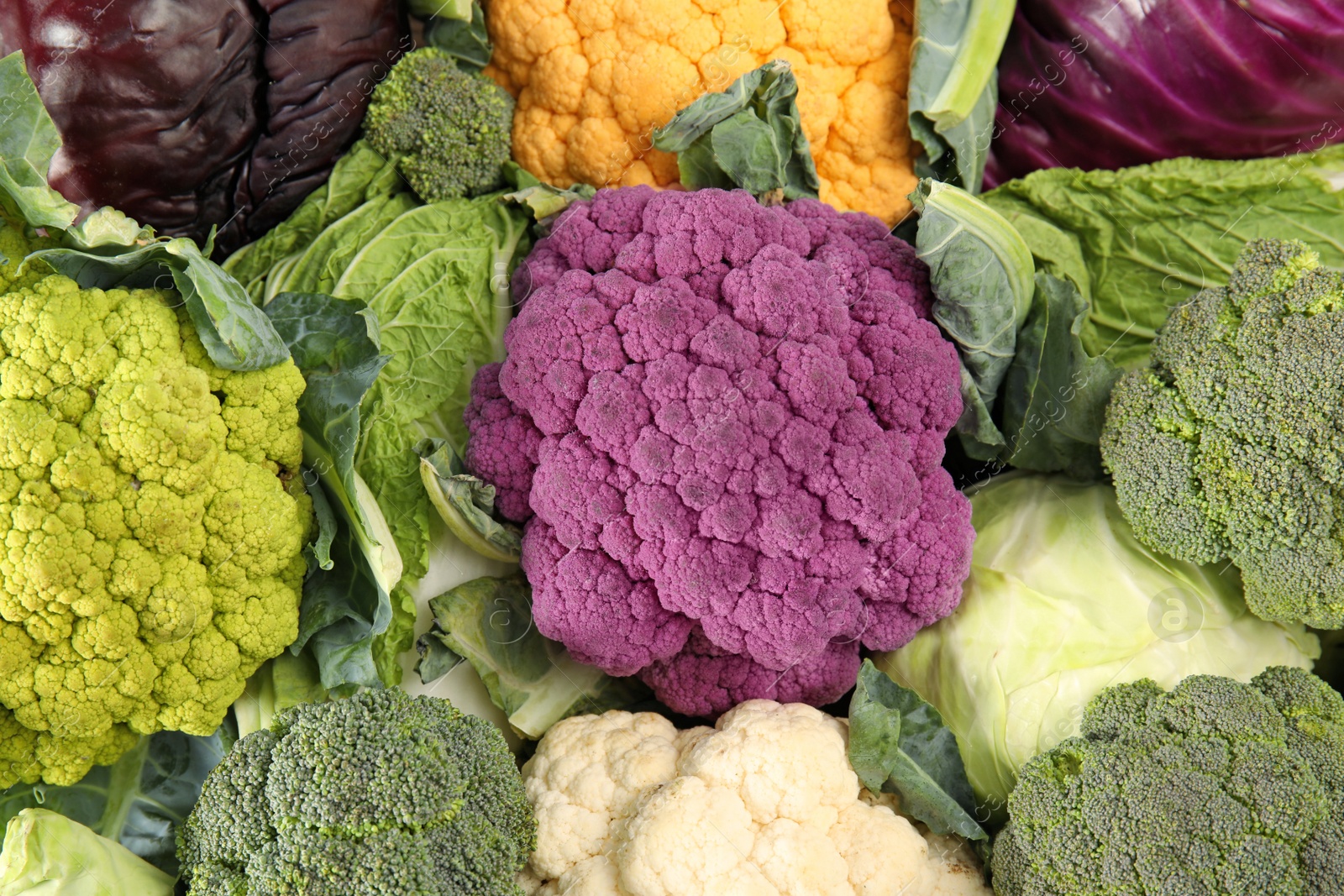 Photo of Different cabbages as background. Healthy food