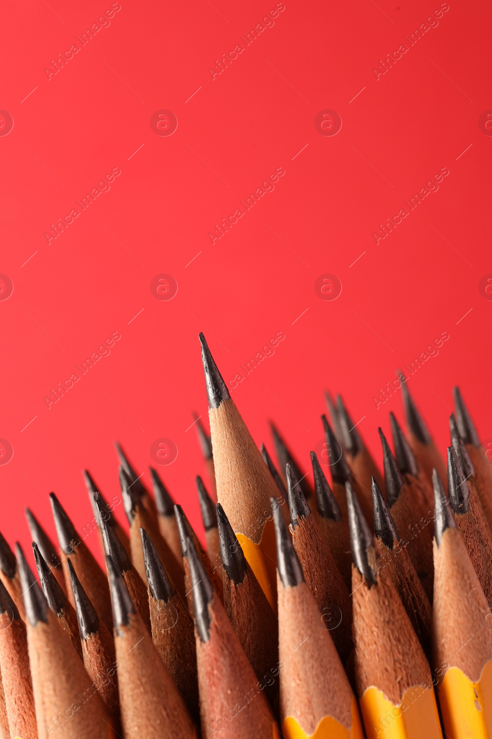 Photo of Sharp graphite pencils on red background, space for text