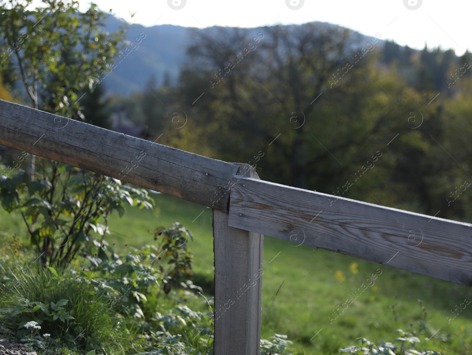 Photo of Old wooden fence and green trees outdoors