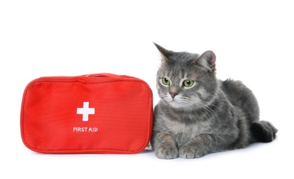 First aid kit and cute cat on white background. Animal care