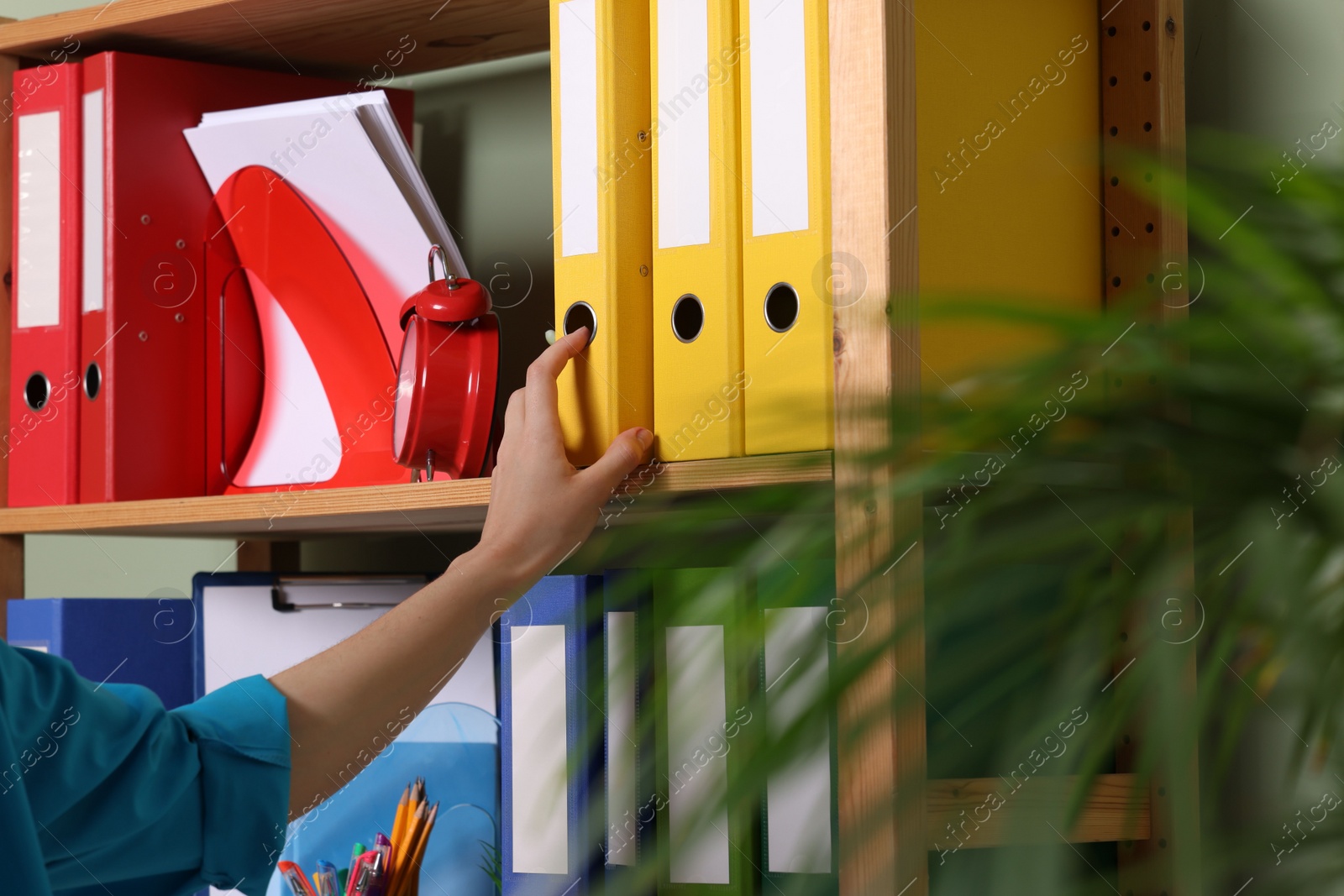 Photo of Woman taking binder office folder from shelving unit indoors, closeup