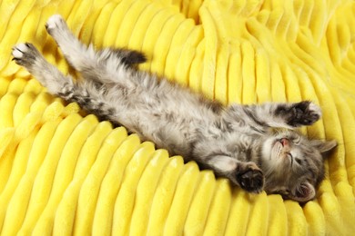 Cute kitten sleeping in soft yellow blanket, above view