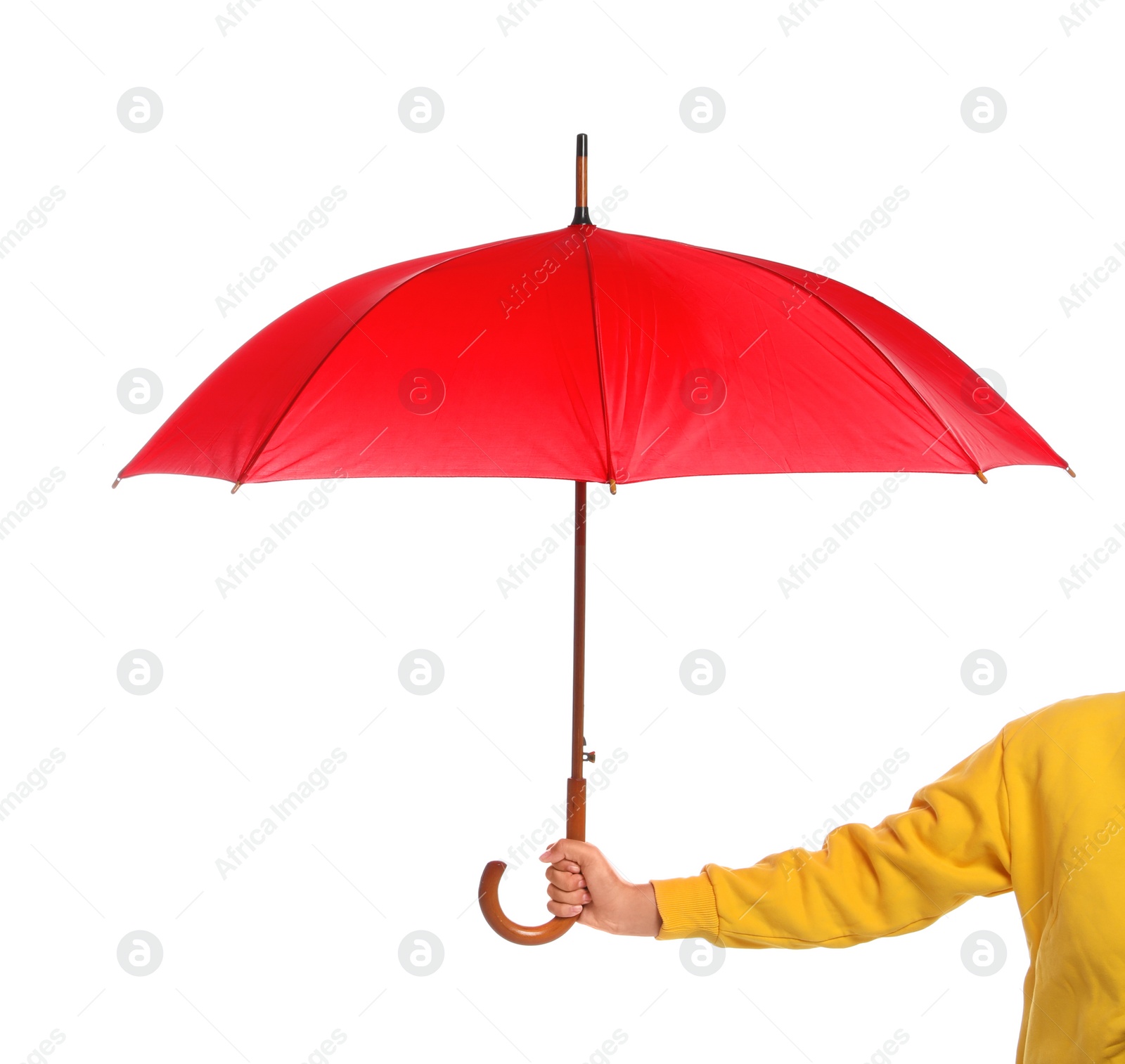 Photo of Person holding beautiful open umbrella on white background